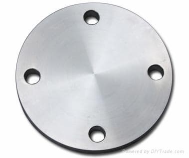 carbon steel and stainless steel forged flange